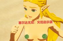 塞尔达无双：灾厄启示录部分女性果体
