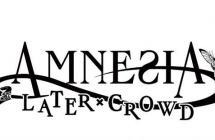 《失忆症later+crowd》mig资源 中文 含bin文件