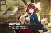 《苏菲的炼金工房~不可思议书的炼金术士~DX》 中文 mig含bin(5文件)