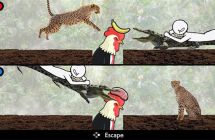 《鸟魂2》TORIDAMA2: Brave Challenge 中文 网盘