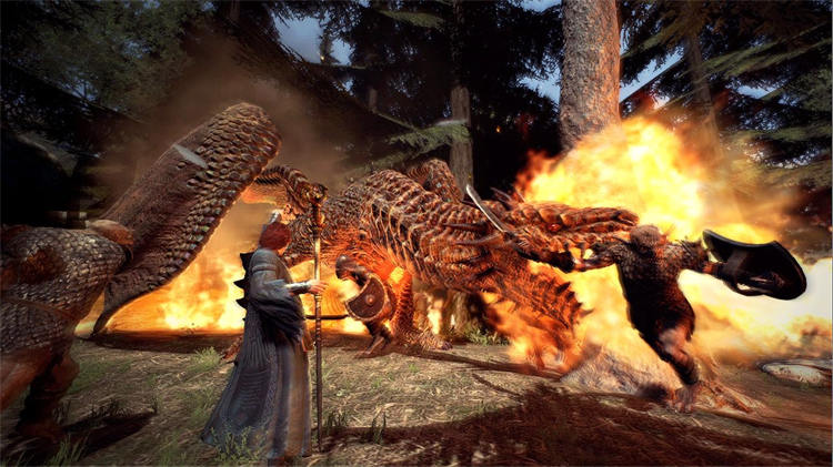 Dragon_s Dogma_ Dark Arisen.jpg