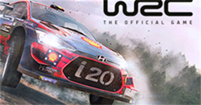 WRC 8 FIA World Rally Championship.jpg