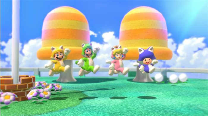 超級瑪利歐 ３Ｄ世界 ＋ 狂怒世界 (1).jpg