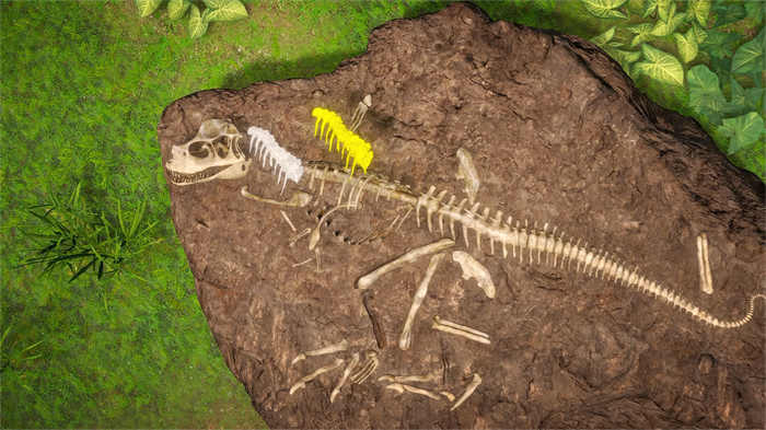 ImageObject-04-DINOSAURS_ Mission Dino Camp.jpg